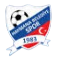 Logo Haymanaspor (W)