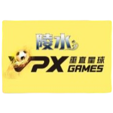 Logo Lingshui Team